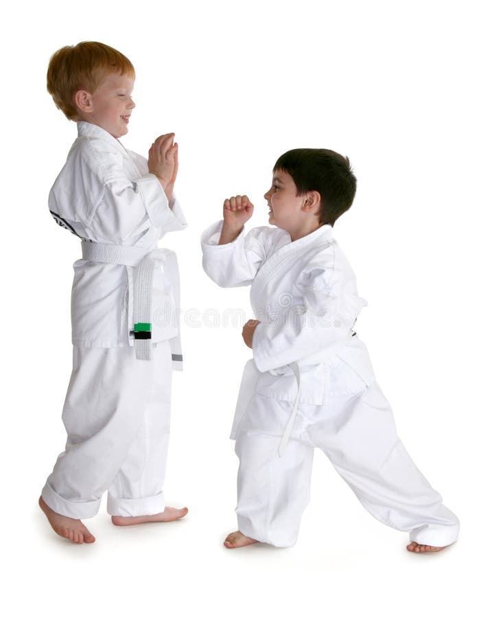 De Vrienden van de karate royalty-vrije stock fotografie De Vrienden van de karate royalty-vrije stock fotografie
