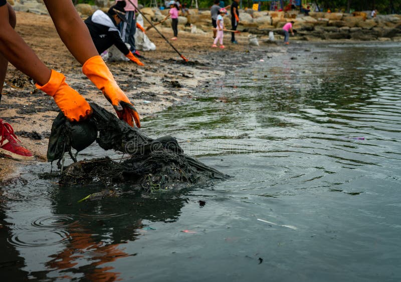 De vrijwilligers dragen oranje rubberhandschoenen om huisvuil op het strand te verzamelen De verontreiniging van het strandmilieu stock foto's De vrijwilligers dragen oranje rubberhandschoenen om huisvuil op het strand te verzamelen De verontreiniging van het strandmilieu stock foto's