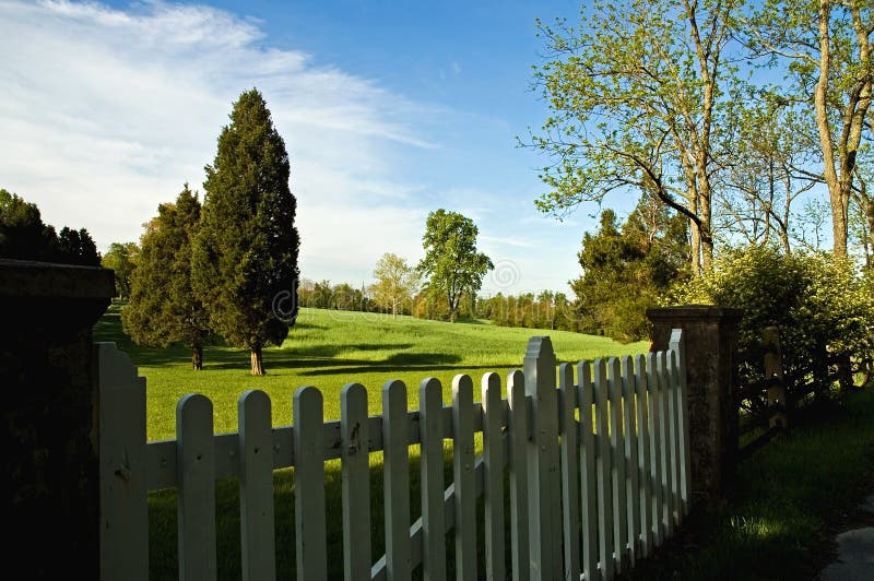 Ochtendhek stock afbeeldingen