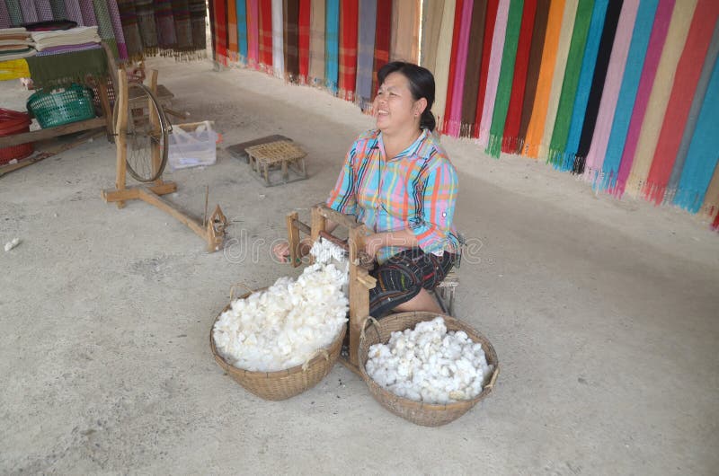 LUANG PRABANG LAOS MARCH 29: Unidentified woman prepare cotton fibers on march 29 2013 in Luang Prabang Laos. People of the Phu-Tai ethnic group have a long standing tradition of cotton production. LUANG PRABANG LAOS MARCH 29: Unidentified woman prepare cotton fibers on march 29 2013 in Luang Prabang Laos. People of the Phu-Tai ethnic group have a long standing tradition of cotton production.