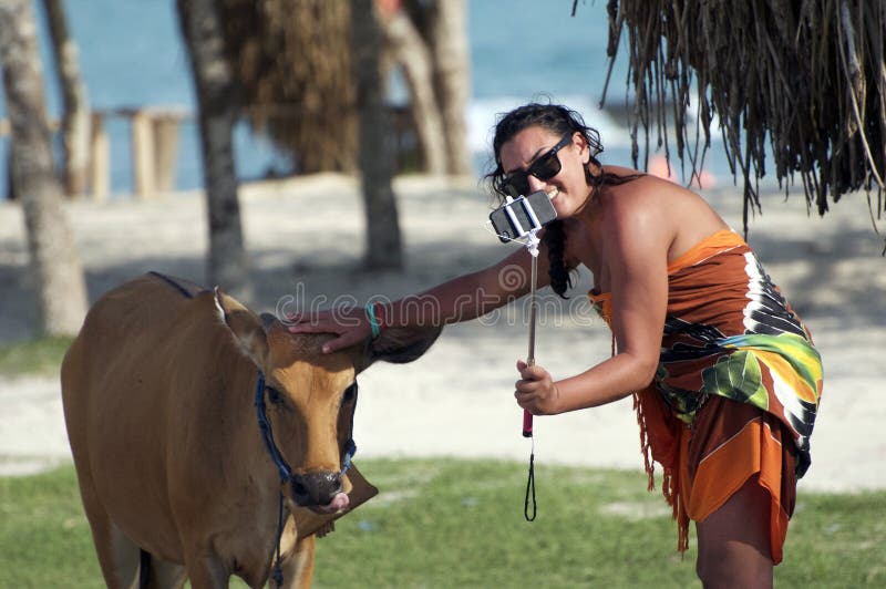 De vrouw die zonnebril dragen neemt selfie met een koe in Lombok, Vietnam royalty-vrije stock afbeelding De vrouw die zonnebril dragen neemt selfie met een koe in Lombok, Vietnam royalty-vrije stock afbeelding