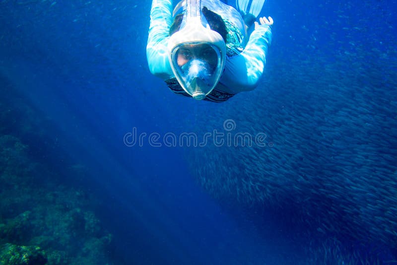 De vrouw zwemt met vissenschool Meisje die in volledig-gezichtsmasker snorkelen Snorkel met de onderwaterfoto van de vissenkoloni stock afbeelding De vrouw zwemt met vissenschool Meisje die in volledig-gezichtsmasker snorkelen Snorkel met de onderwaterfoto van de vissenkoloni stock afbeelding