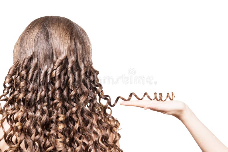 De vrouwelijke bundel van de handholding van bruin gekruld die haar op witte achtergrond wordt geïsoleerd royalty-vrije stock afbeelding De vrouwelijke bundel van de handholding van bruin gekruld die haar op witte achtergrond wordt geïsoleerd royalty-vrije stock afbeelding