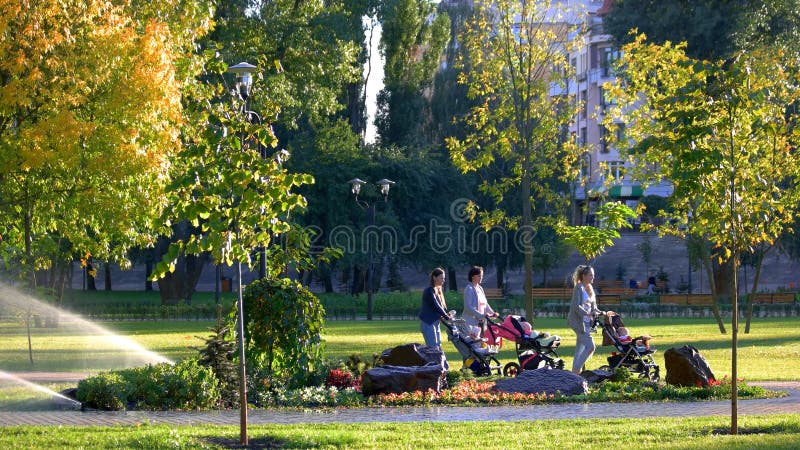 De vrouwen met kinderwagens lopen in het park stock fotografie De vrouwen met kinderwagens lopen in het park stock fotografie