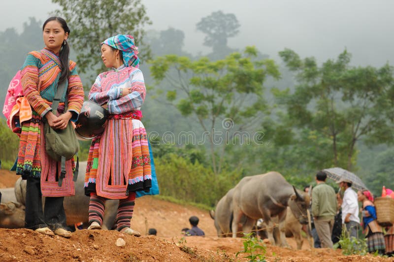 De Vrouwen van Hmong van de bloem stock fotografie De Vrouwen van Hmong van de bloem stock fotografie