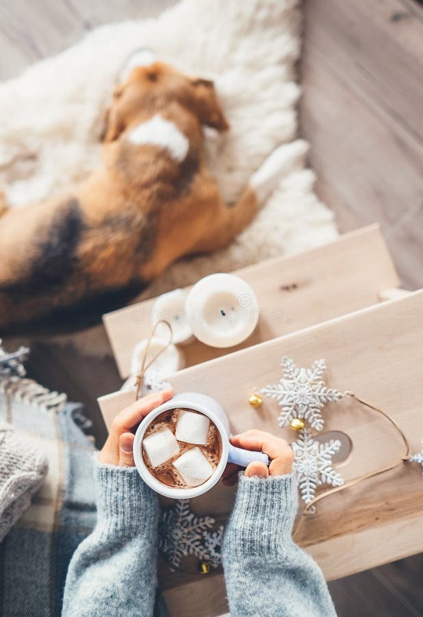 De vrouwenhanden met kop van hete chocolade sluiten omhoog beeld; comfortabel huis; stock foto De vrouwenhanden met kop van hete chocolade sluiten omhoog beeld; comfortabel huis; stock foto