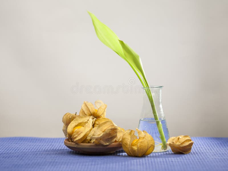 De vruchten van Physalisperuviana in een bsket en bamboe kleine installatie in een transparante vaas royalty-vrije stock afbeeldingen De vruchten van Physalisperuviana in een bsket en bamboe kleine installatie in een transparante vaas royalty-vrije stock afbeeldingen