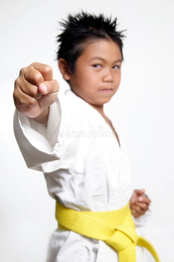 De vuist van de Jongens van de karate royalty-vrije stock foto De vuist van de Jongens van de karate royalty-vrije stock foto