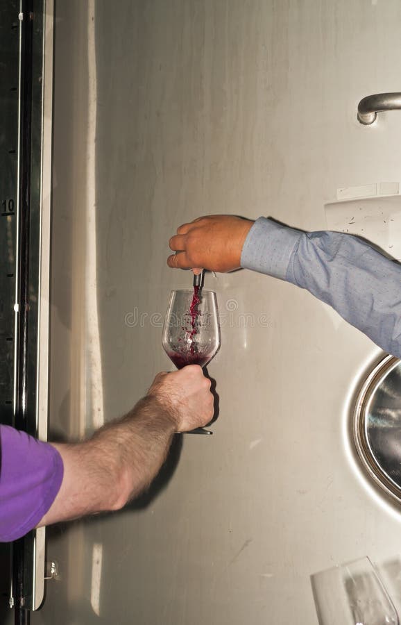 de wapens die van een winemaker en een proever, een steekproef van wijn gieten stock afbeeldingen de wapens die van een winemaker en een proever, een steekproef van wijn gieten stock afbeeldingen