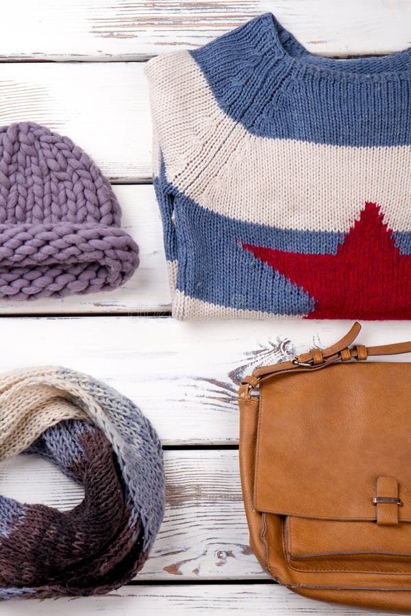 De warme vrouwelijke winter ziet eruit stock afbeelding De warme vrouwelijke winter ziet eruit stock afbeelding