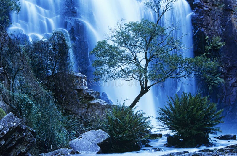 De waterval van Australië in bos stock fotografie De waterval van Australië in bos stock fotografie