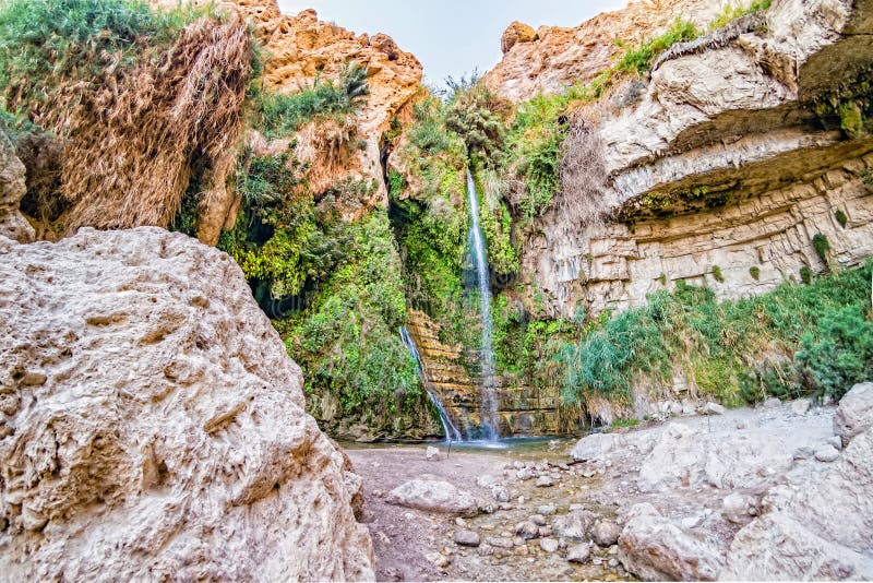 De waterval van David ` s bij het Natuurreservaat van Ein Gedi royalty-vrije stock afbeeldingen De waterval van David ` s bij het Natuurreservaat van Ein Gedi royalty-vrije stock afbeeldingen