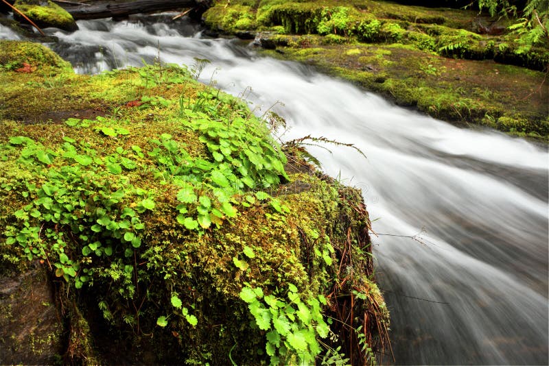 De waterval van Oregon royalty-vrije stock afbeelding De waterval van Oregon royalty-vrije stock afbeelding