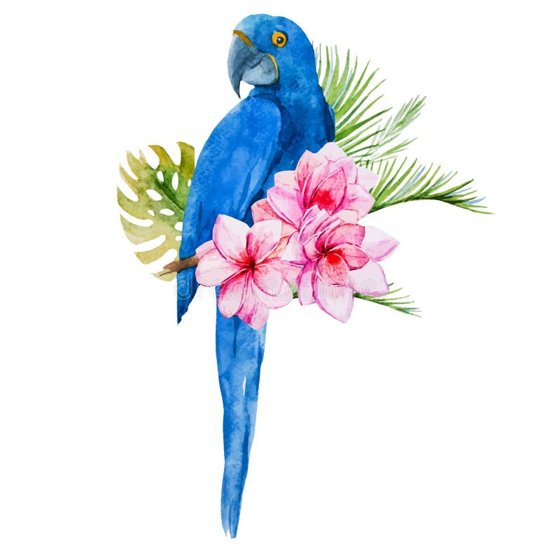 De waterverf blauwe papegaaien van Nice vector illustratie De waterverf blauwe papegaaien van Nice vector illustratie