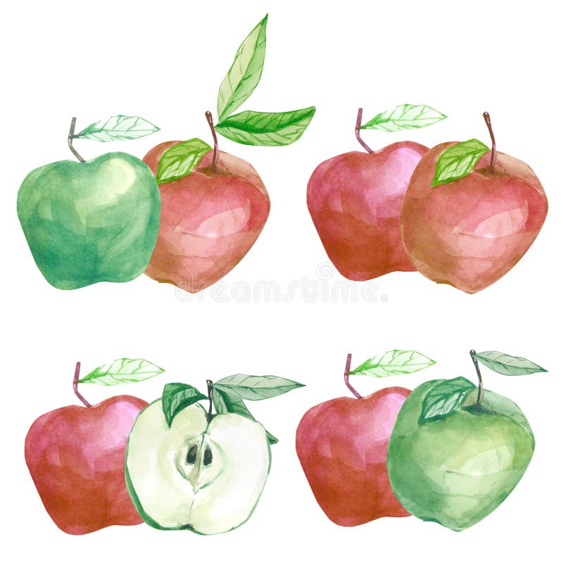 De waterverf isoleerde de botanische appel van het illustratiefruit Tak met appelarragement voor stationair huwelijk, groetkaarte vector illustratie De waterverf isoleerde de botanische appel van het illustratiefruit Tak met appelarragement voor stationair huwelijk, groetkaarte vector illustratie