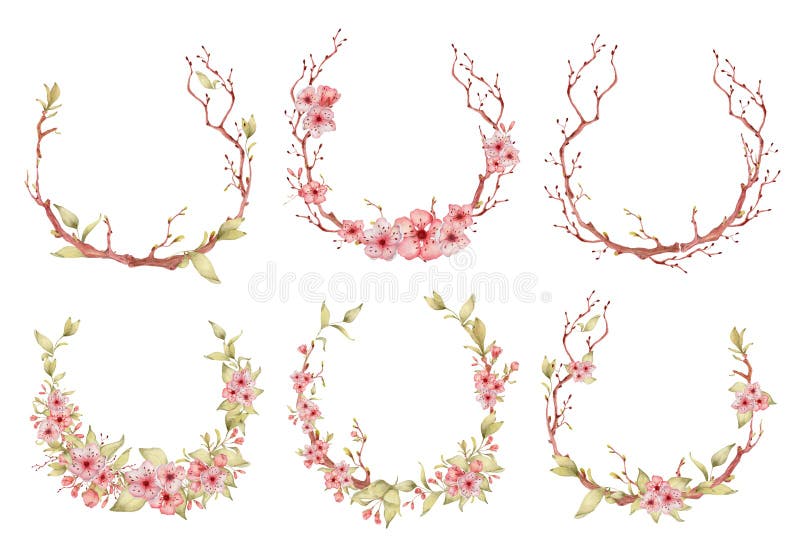 De waterverfillustratie van Sakurabloemen De kroon van het bloesembloemblaadje