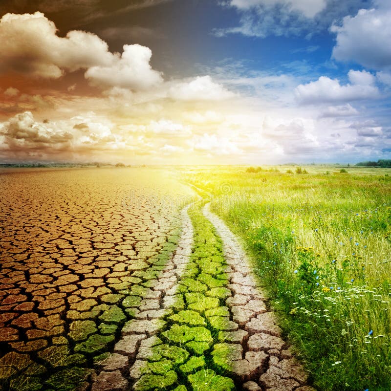 De weg die de woestijn en de oase scheiden Concept op ecologie, het Globale verwarmen en milieubescherming