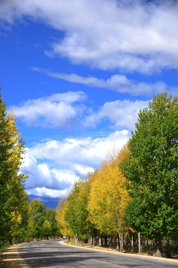 De weg van de herfst stock afbeeldingen De weg van de herfst stock afbeeldingen
