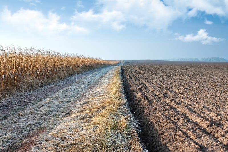 De weg van het het graangebied van de herfst royalty-vrije stock afbeeldingen De weg van het het graangebied van de herfst royalty-vrije stock afbeeldingen