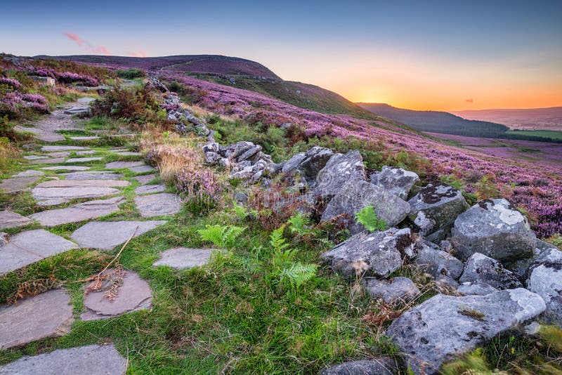 Popular with walkers and hikers the Simonside Hills are covered with heather in late summer. they are part of Northumberland National Park overlooking Coquetdale and Cheviot Hills. Popular with walkers and hikers the Simonside Hills are covered with heather in late summer. they are part of Northumberland National Park overlooking Coquetdale and Cheviot Hills