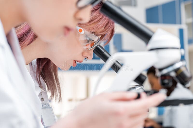 de wetenschappers groeperen het werken met microscopen in chemisch laboratoriumlaboratorium royalty-vrije stock afbeeldingen de wetenschappers groeperen het werken met microscopen in chemisch laboratoriumlaboratorium royalty-vrije stock afbeeldingen