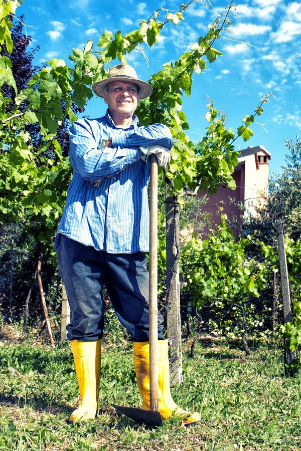De Wijngaard van landbouwersstraw hat spade portrait break stock afbeelding De Wijngaard van landbouwersstraw hat spade portrait break stock afbeelding