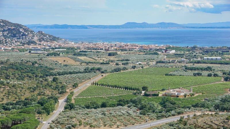 De wijngaarden en de olijfgaarden van Spanje Costa Brava royalty-vrije stock foto De wijngaarden en de olijfgaarden van Spanje Costa Brava royalty-vrije stock foto