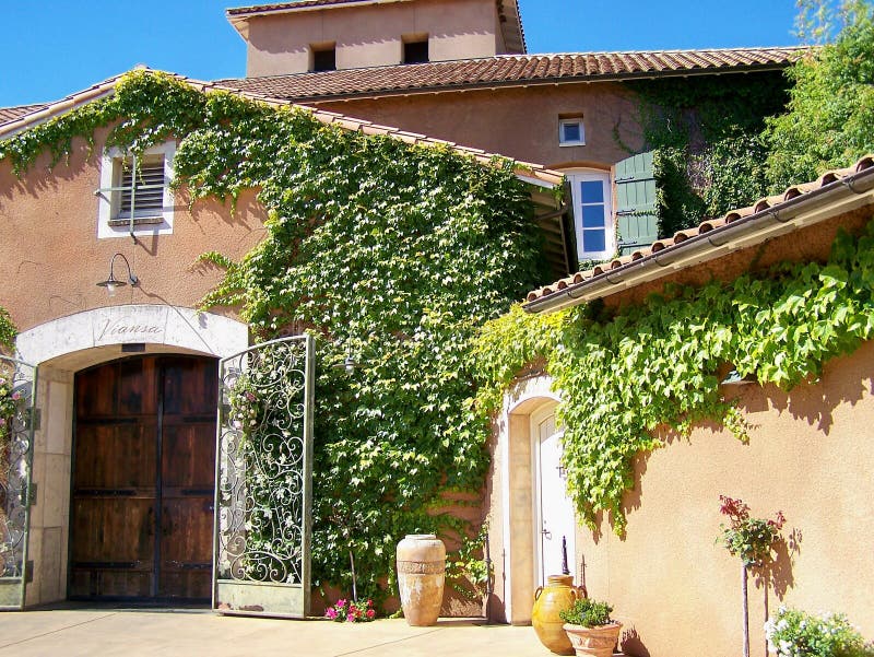 Italiaans aandoende Californische wijngaard royalty-vrije stock afbeeldingen