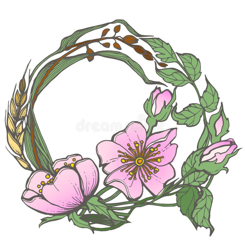 De wilde hond nam de contourinkt van het bloemenkader de volwassen het kleuren vector van de paginatekening clipart op witte acht royalty-vrije illustratie De wilde hond nam de contourinkt van het bloemenkader de volwassen het kleuren vector van de paginatekening clipart op witte acht royalty-vrije illustratie