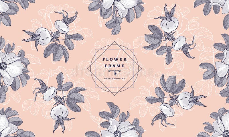 De Wilde Rozen van het bloemkader en Rozebottels, Bloemenmanierpatroon Hand getrokken boho botanische tekeningen Vector het brand vector illustratie De Wilde Rozen van het bloemkader en Rozebottels, Bloemenmanierpatroon Hand getrokken boho botanische tekeningen Vector het brand vector illustratie