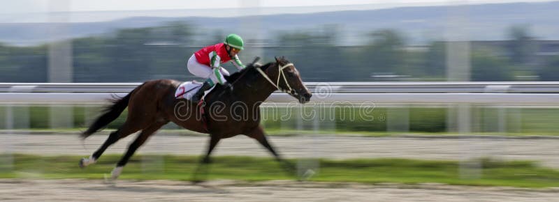 Finish horse race for the prize of Bolshoi Osenni in Pyatigorsk,Northern Caucasus, Russia. Finish horse race for the prize of Bolshoi Osenni in Pyatigorsk,Northern Caucasus, Russia.