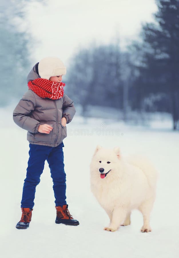 Winter and people concept - boy with white Samoyed dog outdoors in winter day. Winter and people concept - boy with white Samoyed dog outdoors in winter day