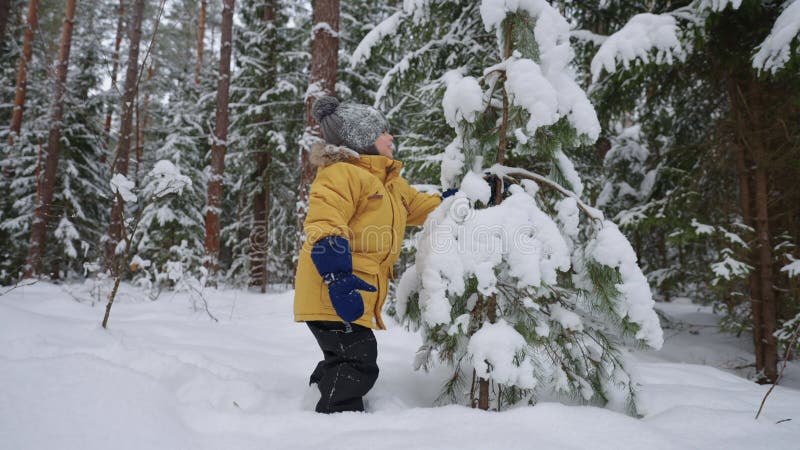 De winter in het bos speelt een klein kind met een kleine sneeuwspar en lacht voorzichtig uit de kindertijd