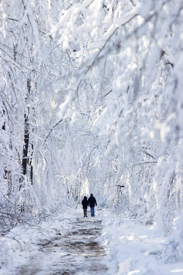 De winter houten landschap stock fotografie De winter houten landschap stock fotografie