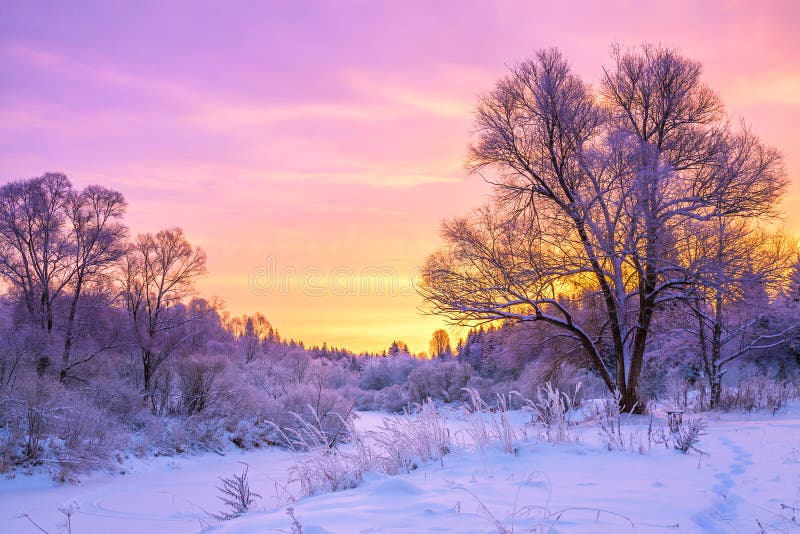 Winterlandschap met zonsondergang en het bos stock afbeelding