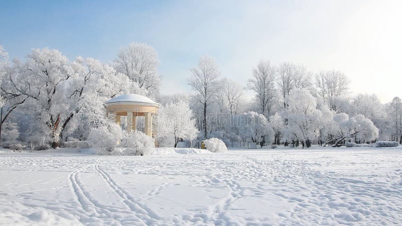 De winterlandschap - snow-covered bos in zonnig weer