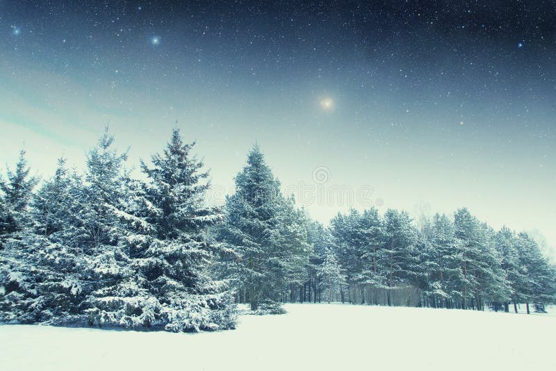 Winter night in the park. Elements of this image furnished by NASA. Winter night in the park. Elements of this image furnished by NASA