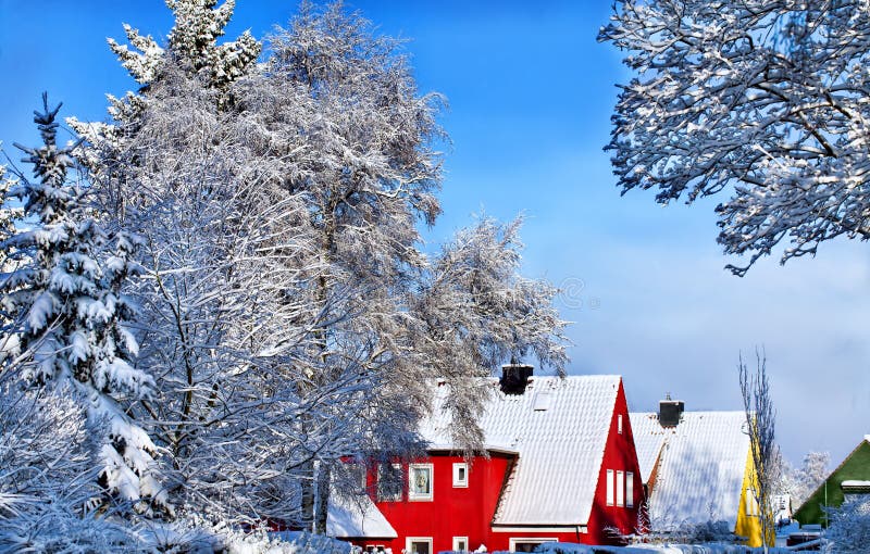 De winterscène met bomen royalty-vrije stock afbeeldingen De winterscène met bomen royalty-vrije stock afbeeldingen