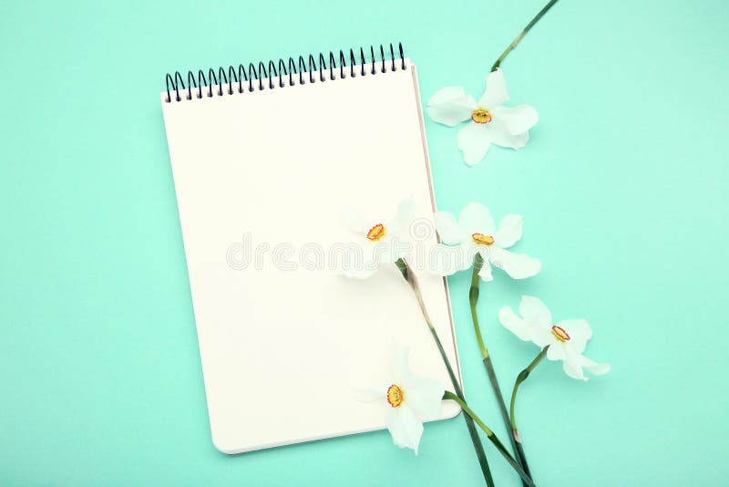De witte bloemen van Narcissen royalty-vrije stock foto De witte bloemen van Narcissen royalty-vrije stock foto
