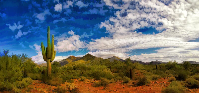 De Woestijn van Arizona in de Lente