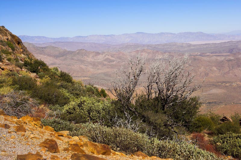 Bergwoestijn stock afbeelding