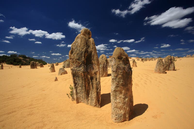 Natural limestone formations commonly known as the Pinnacles,Nambung National Park,Australia. Natural limestone formations commonly known as the Pinnacles,Nambung National Park,Australia