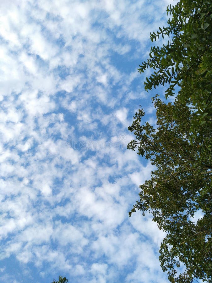 De wolk in blauwe hemel kijkt mooie ontzagwekkend royalty-vrije stock foto De wolk in blauwe hemel kijkt mooie ontzagwekkend royalty-vrije stock foto