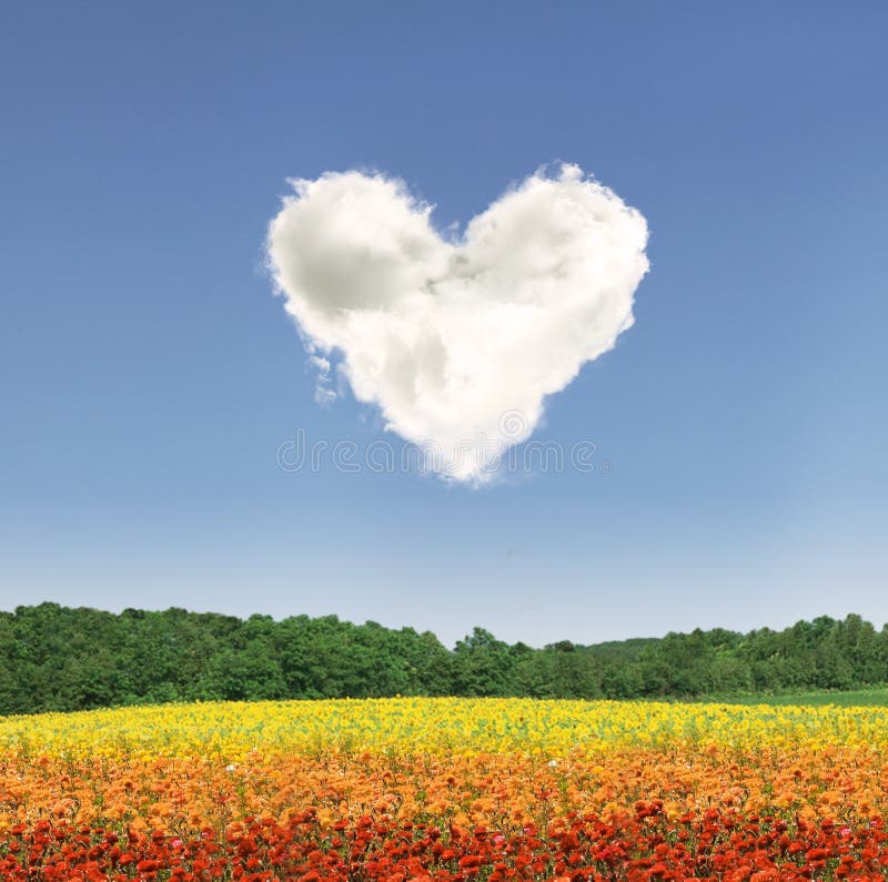 De wolk van het hart over kleurrijke bloemen stock fotografie De wolk van het hart over kleurrijke bloemen stock fotografie