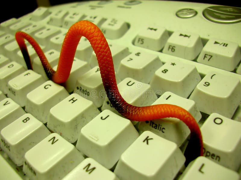 De Worm van de computer De Worm van de computer
