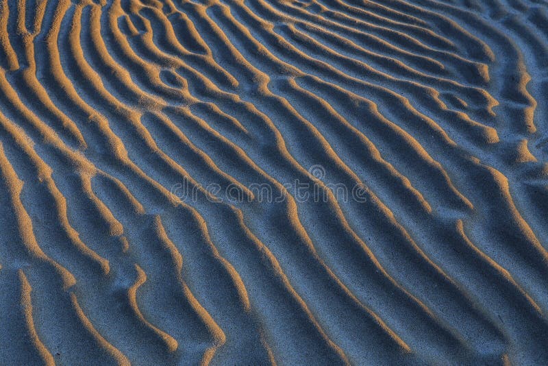 The sandy beaches of the Lena River in Yakutia. The sandy beaches of the Lena River in Yakutia.