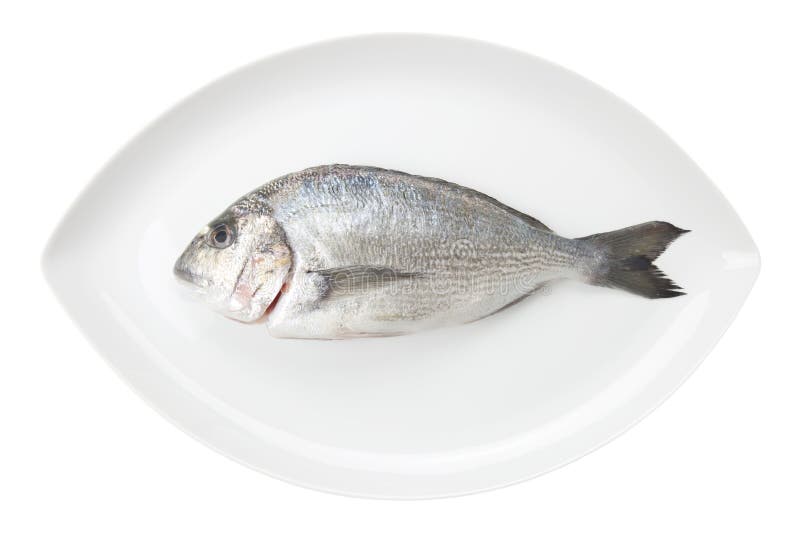 De zeevruchten van Dorada op een witte ovale schotel. De vissen van de brasem. stock afbeelding De zeevruchten van Dorada op een witte ovale schotel. De vissen van de brasem. stock afbeelding