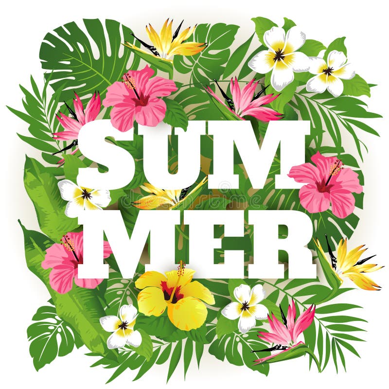 De zomer vector illustratie De zomer vector illustratie