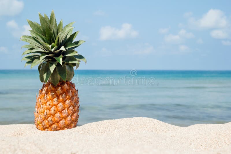 De zomer tropisch landschap met ananas op het witte zandstrand op de achtergrond van blauwe overzees en hemel stock afbeeldingen De zomer tropisch landschap met ananas op het witte zandstrand op de achtergrond van blauwe overzees en hemel stock afbeeldingen