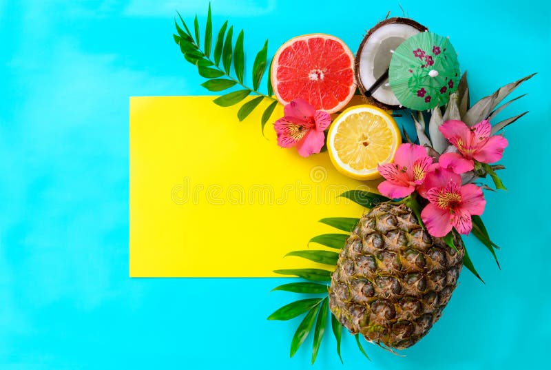 De zomer tropische vruchten stock fotografie De zomer tropische vruchten stock fotografie